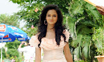 Cute Actress Shanvi latest Glamorous Photos-thumbnail