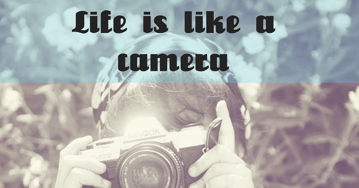 jill and the little crown Life is like a camera... Photography