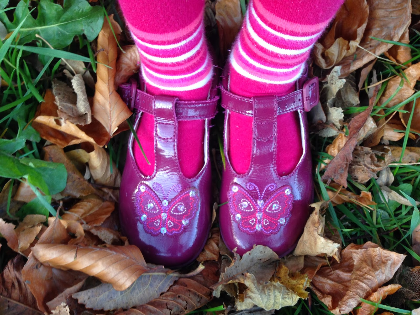 clarks primrose sandals