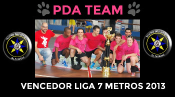 Liga 7 Metros 2013 - Vencedor