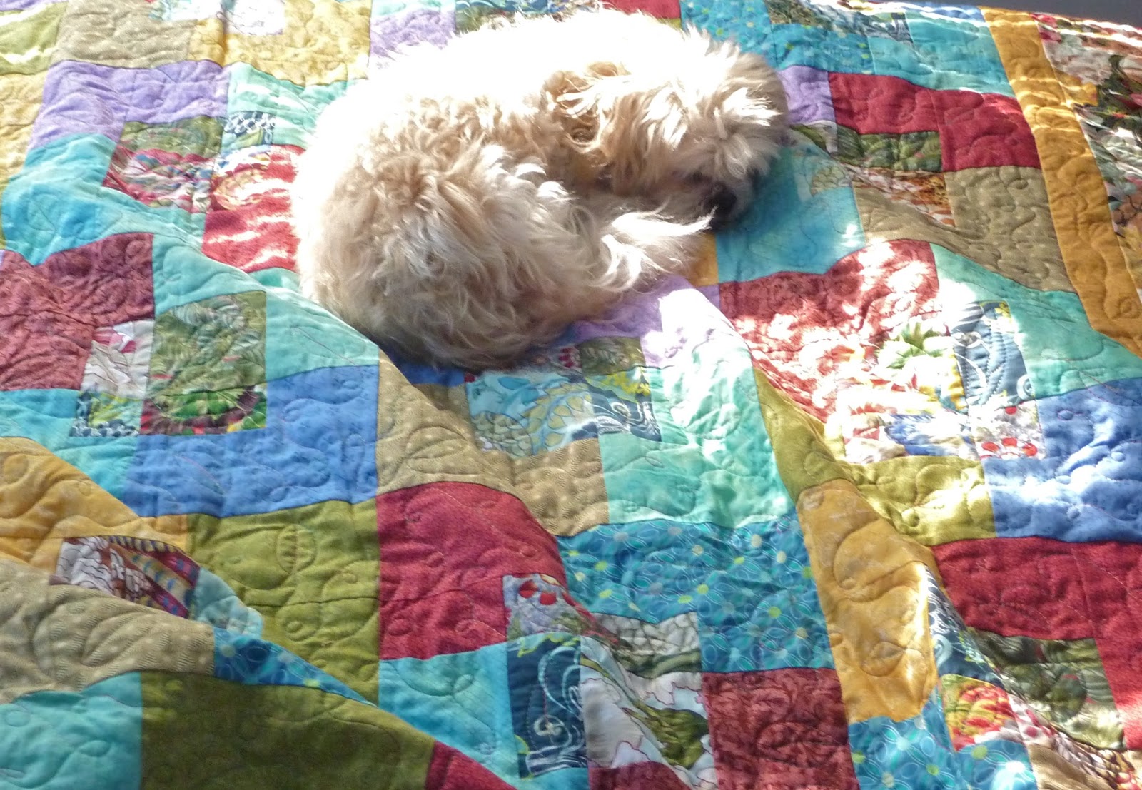 Kathy's Quilts Pets On Quilts 2013