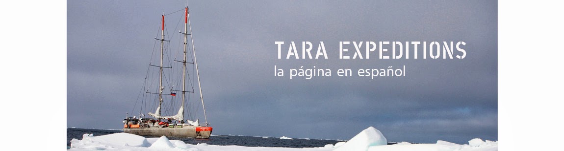 TARA EXPEDITIONS en español