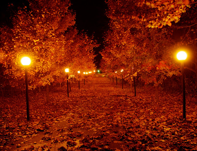 Autumn Night1