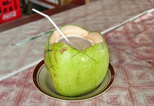 Resep Minuman kelapa muda ~ Aneka Resep Masakan Praktis dan Sehat