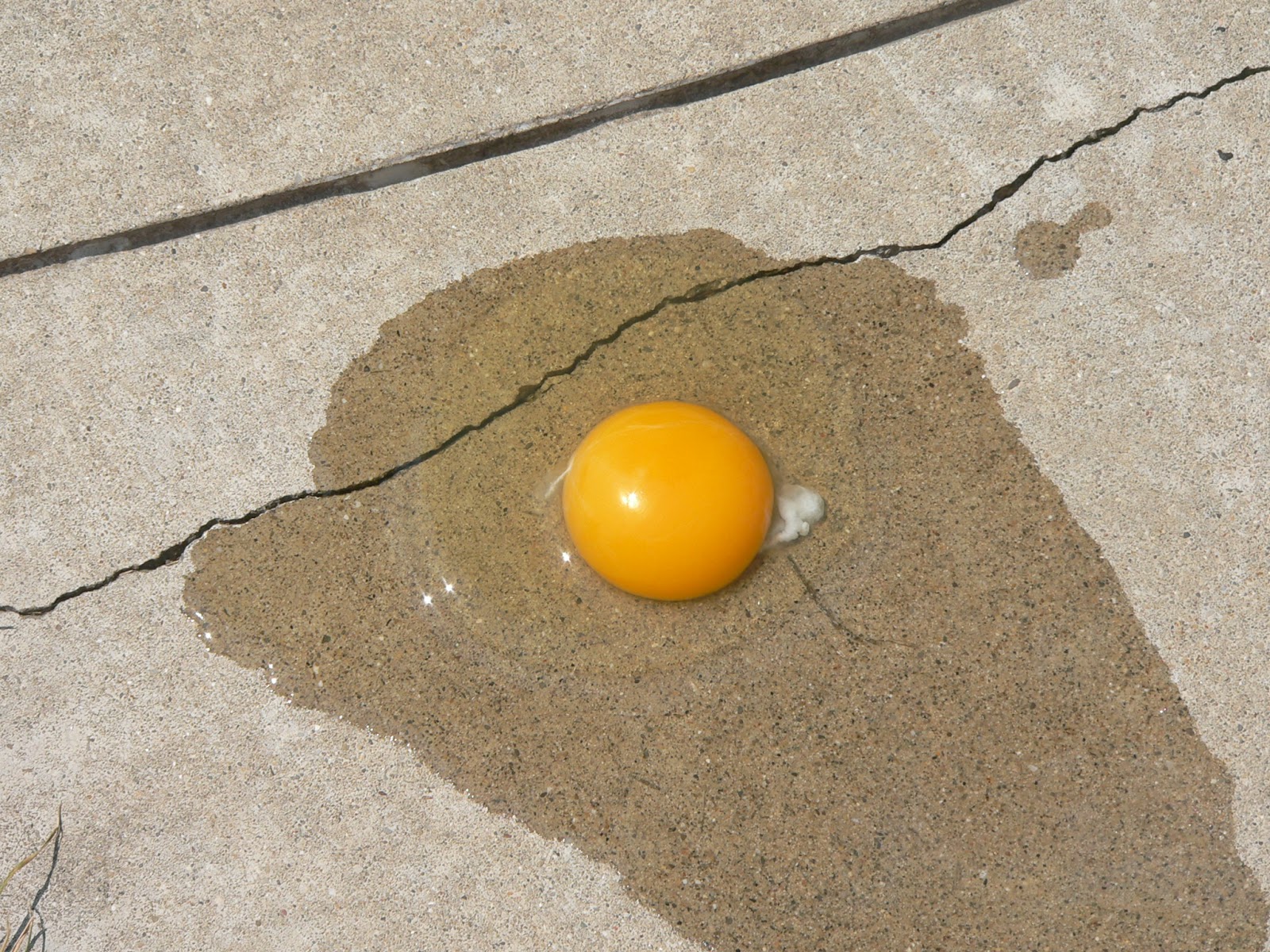 Heartland Hill Farm Hot Enough to Fry an Egg on the Sidewalk