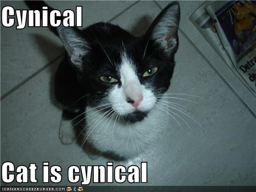 cynical-cat.jpg