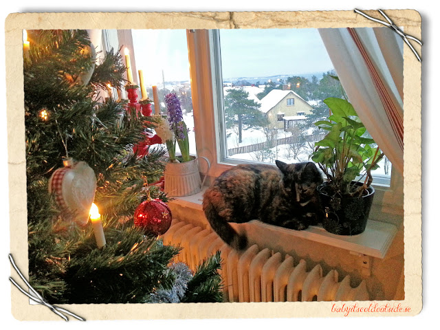 cat in window, christmas tree, christmas