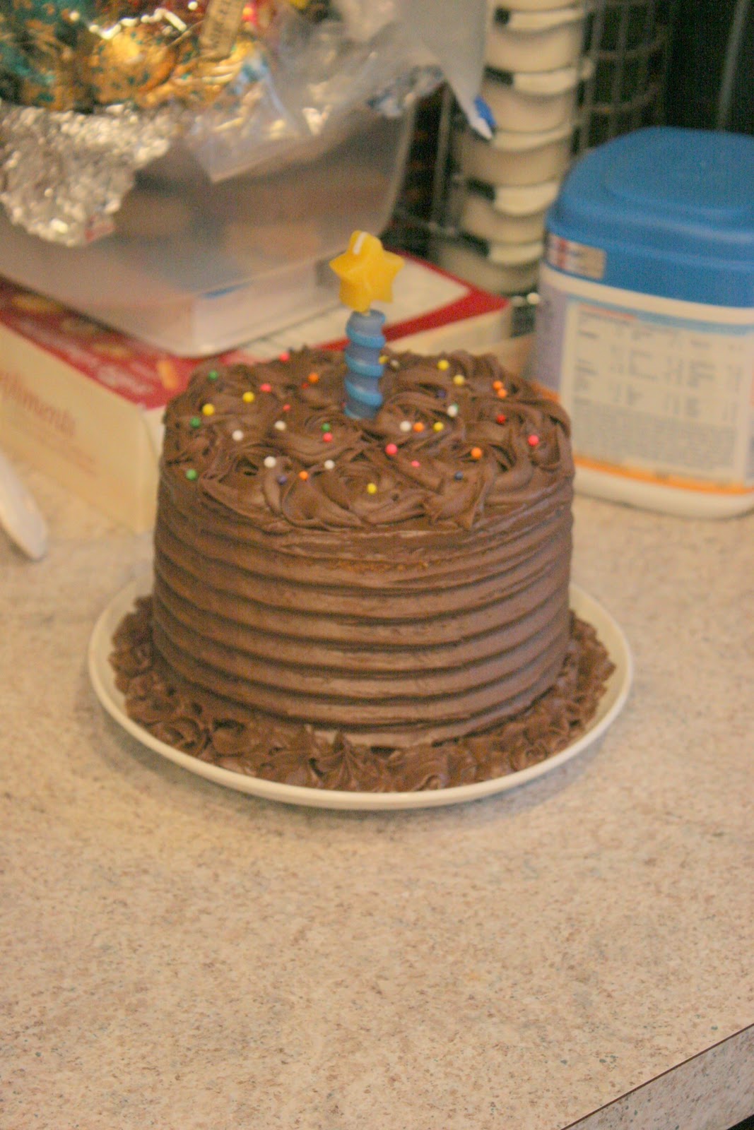 Mustang Cake Modern Camelot
