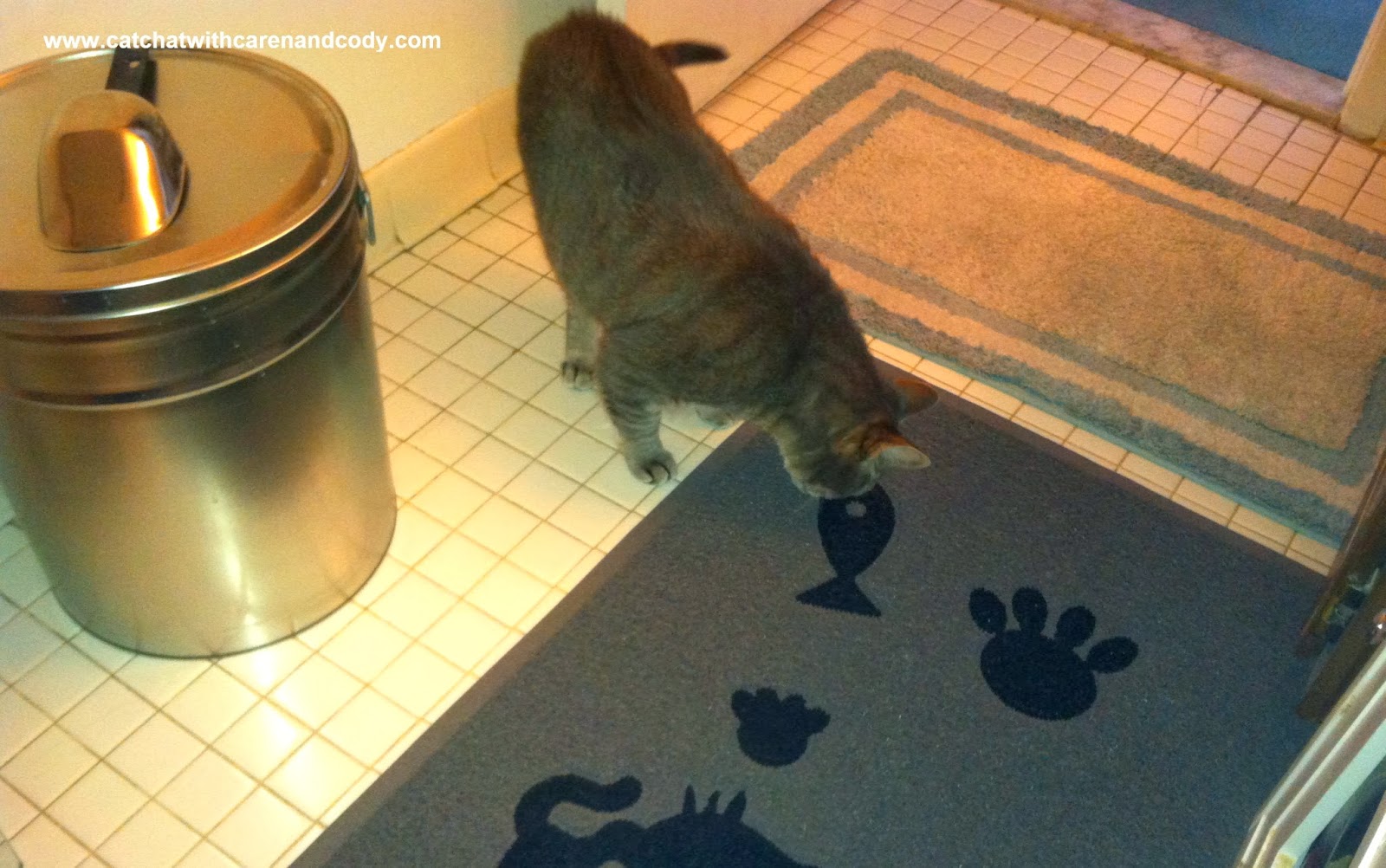 Cat Chat With Caren And Cody Smartcatcher "The Unordinary Cat Litter