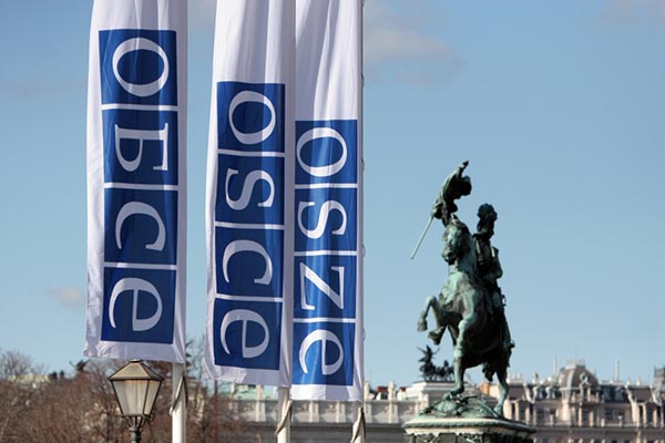 OSCE, elecciones, Georgia