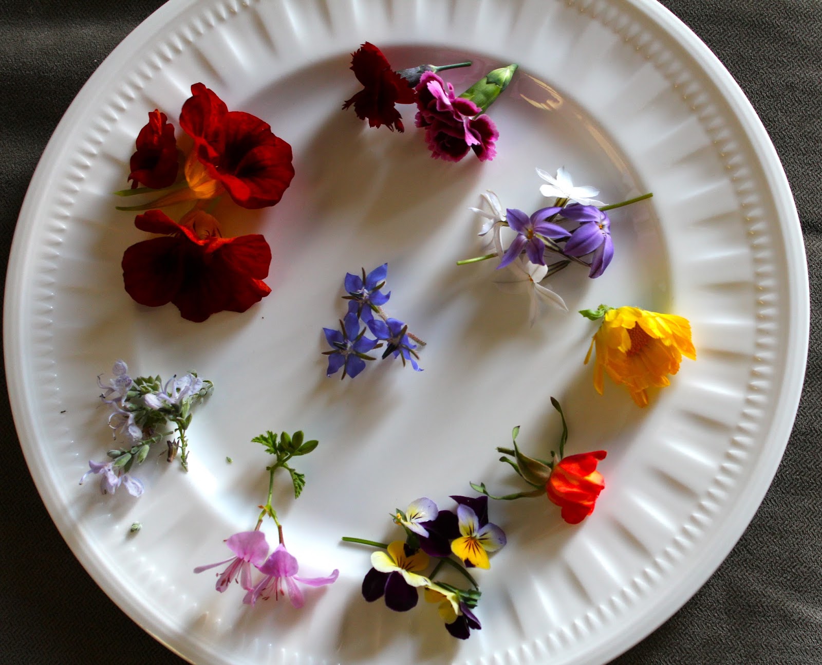 Florez Nursery Microgreens & edible flowersArt on a plate.