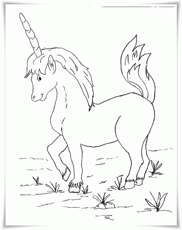 Ausmalbilder Zum Ausdrucken Ausmalbilder Einhorn