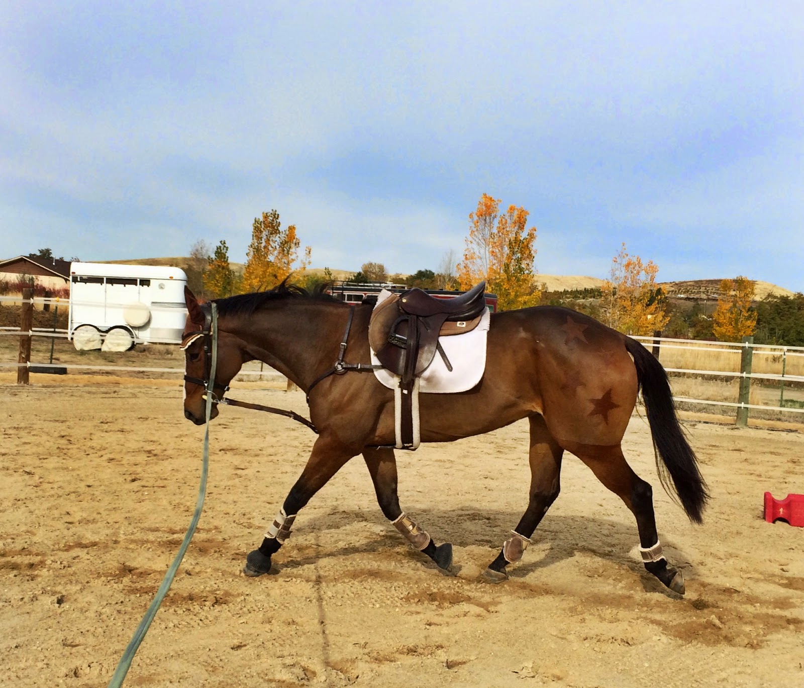 SprinklerBandits Teach Me Tuesday Lunging