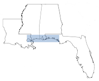 Gulf Coast I-10 region