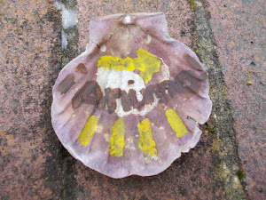 scallop shell