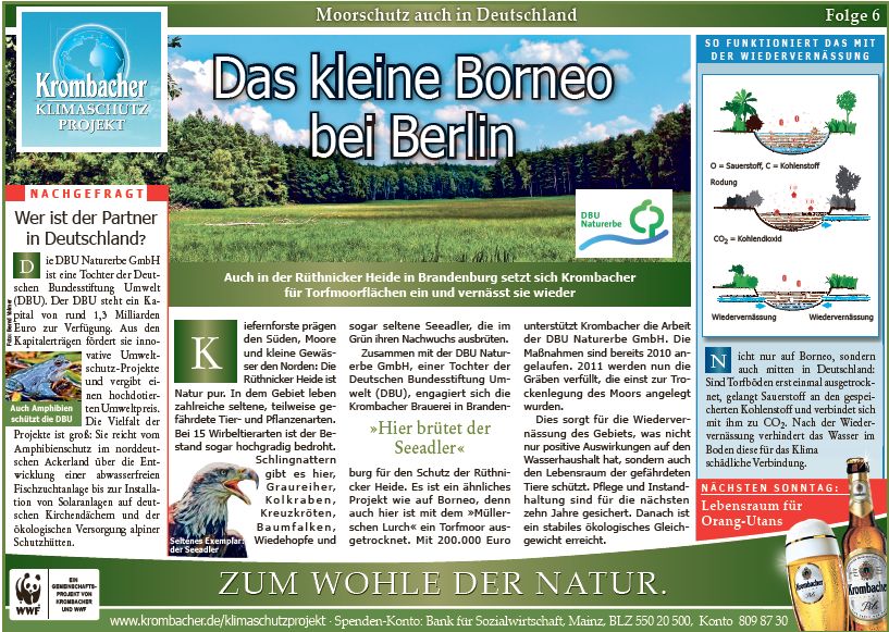 Freizeit Reiten 2011