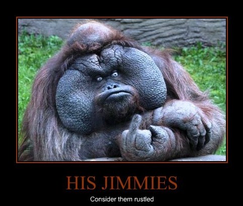 jimmies rustled rustle verydemotivational jimmyfungus