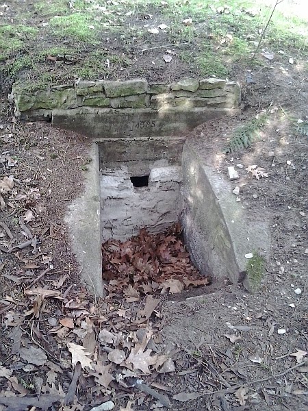 Die Galerie Bernau Prasentiert Sich Mit Eigener Homepage