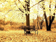 Campo en otoño y con una banca en medio de los arboles campo en otoã±o con una banca en medio de los arboles