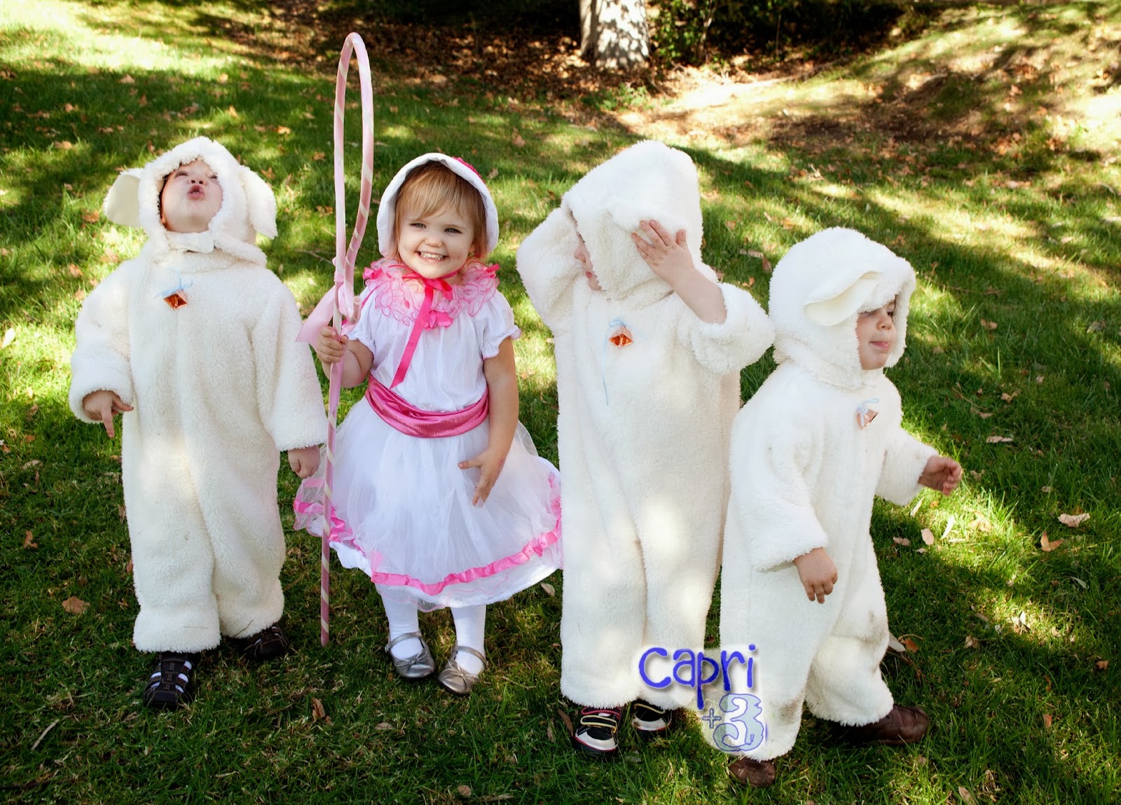 Little Bo Peep Found Her Sheep Capri + 3
