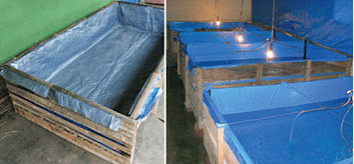 Cara membuat Kolam dari Terpal