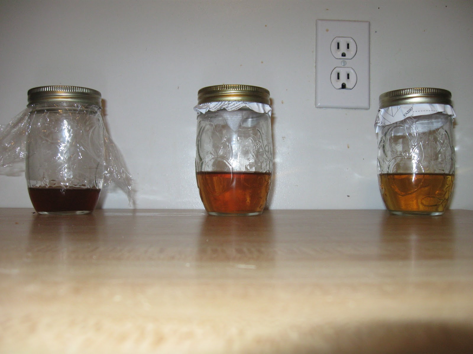 Engineering Homemaking Homemaking Tuesday Fruit Flies