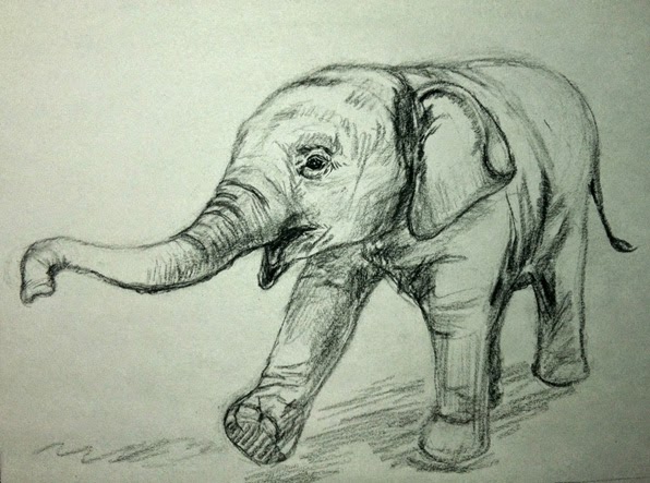 sketches of baby animals