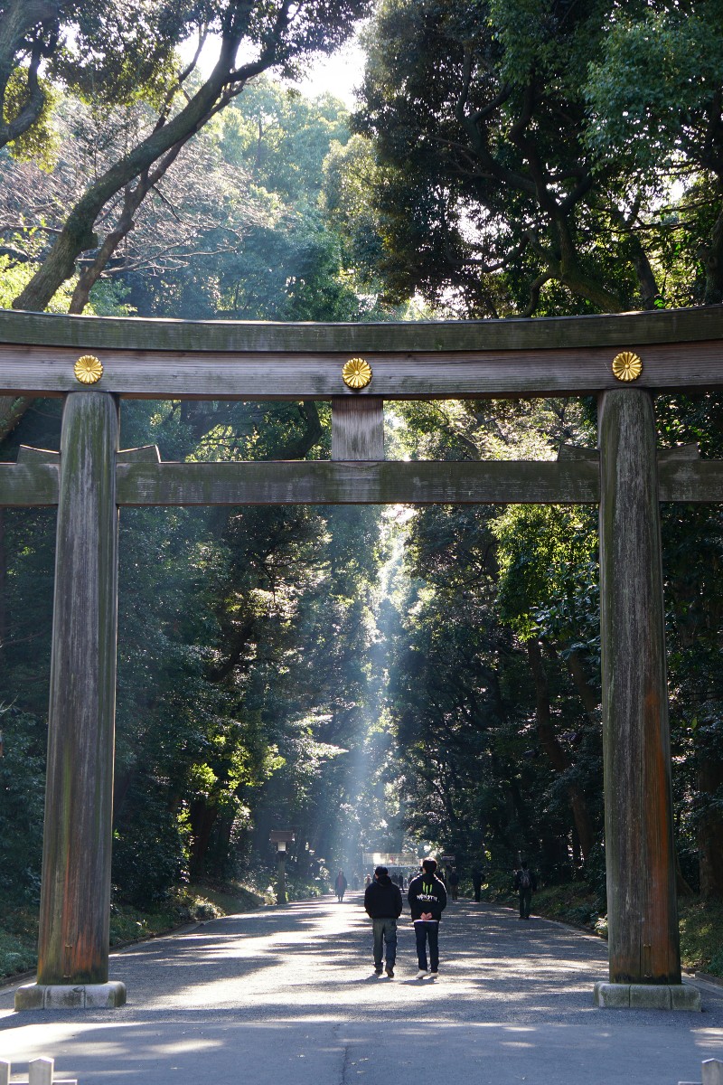 Yoyogin puisto Tokio Tokyo, Tokio, portti