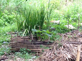 Backwards. Simply: The World of Bamboo