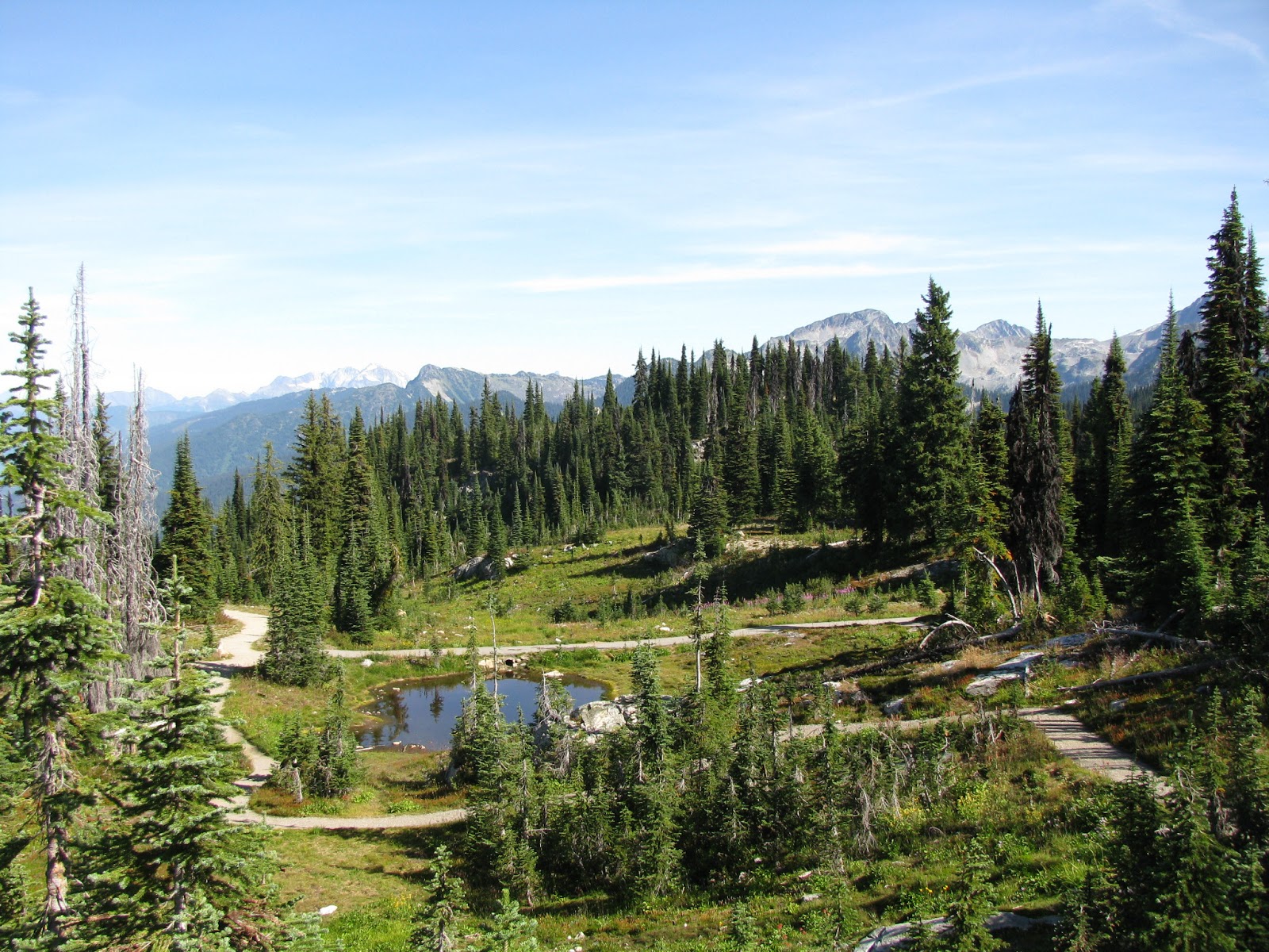 Wanderlust Eva Lake Revelstoke National Park