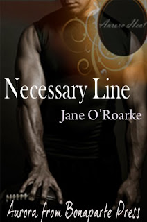 Guest Review: Necessary Line by Jane O’Roarke