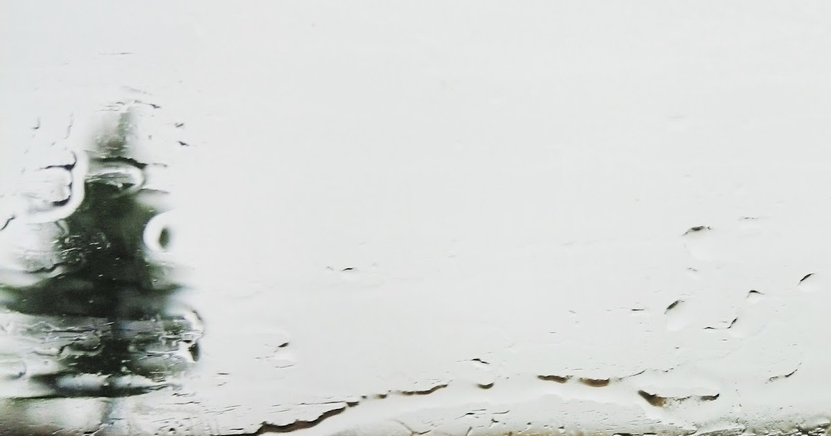 the art room plant It rained and rained and rained.