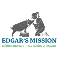 Edgar´s Missions