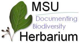 Michigan State University (MSU) Herbarium