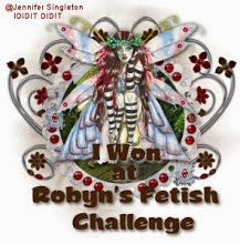 Winner at Robyn's Fettish