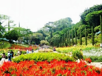 Selecta Taman Wisata Bunga Batu Malang Wisata Bromo Malang