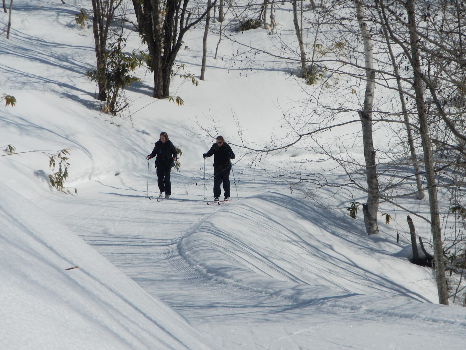 Kyle and Bre in Japan Crosscountry skiing