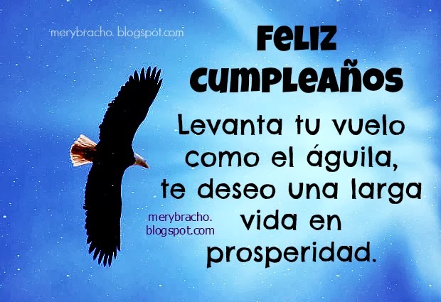 Feliz Cumpleaños. Vuela como el águila, que tengas éxitos. felicitaciones en cumpleaños cristiano.frases de aliento con mensajes cristianos para amigo, hombre, mujer, para felicitar por facebook, buenos deseos. Tarjetas cristianas, postales con dedicatoria corta y bonita.