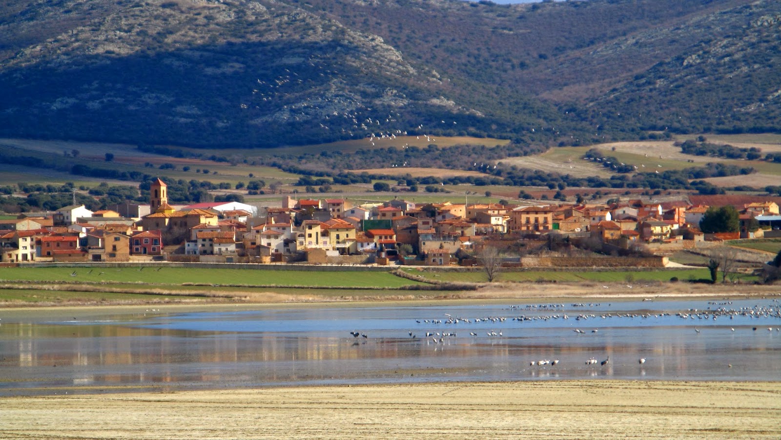SIGÜENZAACTIVA Laguna de Gallocanta