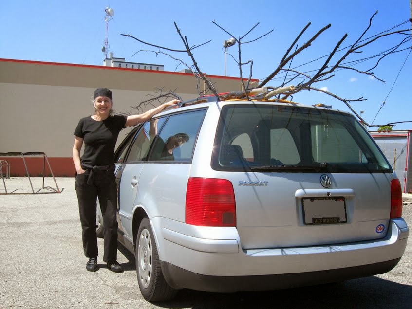 TRANSPORTING EXHIBIT TREE FORMS 2009