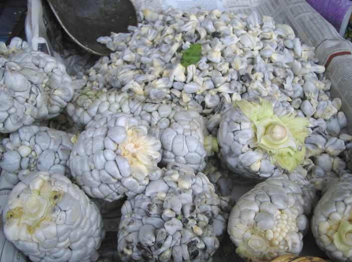 Edible Skinny Huitlacoche to the Delicacy of Corn Smut!