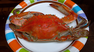 Best Maryland Crab Cakes Shipped Reddit Best Maryland Crab Cakes Shipped Reddit
