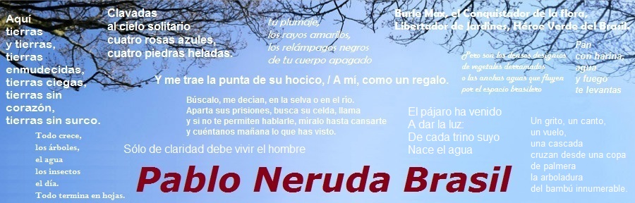 Pablo Neruda Brasil