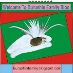 Burushin Family Logo