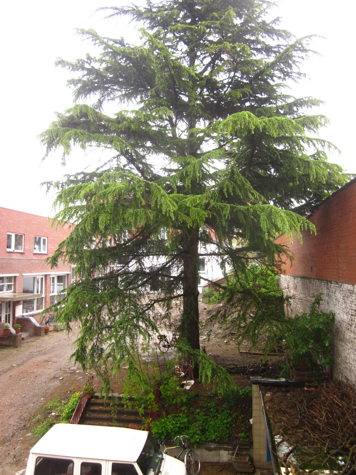 Project pijpenla