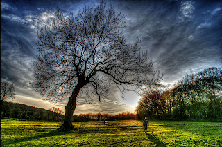 Luke Andrew Scowen Photography http://farm3.staticflickr.com/2749/4399070692_770c114d57_z.jpg