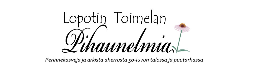 Lopotin Toimelan pihaunelmia