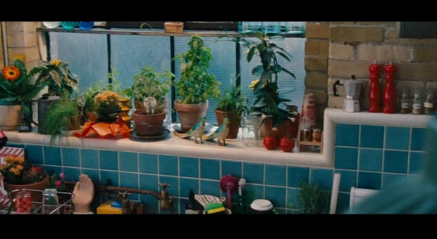 Plantas en la cocina Plantas en la cocina