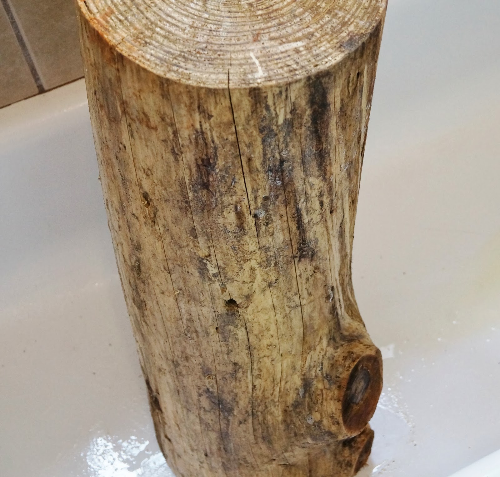 Don't Disturb This Groove Bleached TreeStump Tables