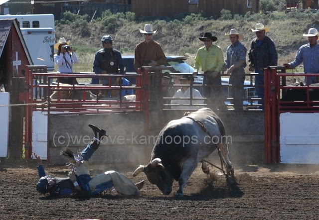 No one was hurt but the bull appears to want to show who's boss
